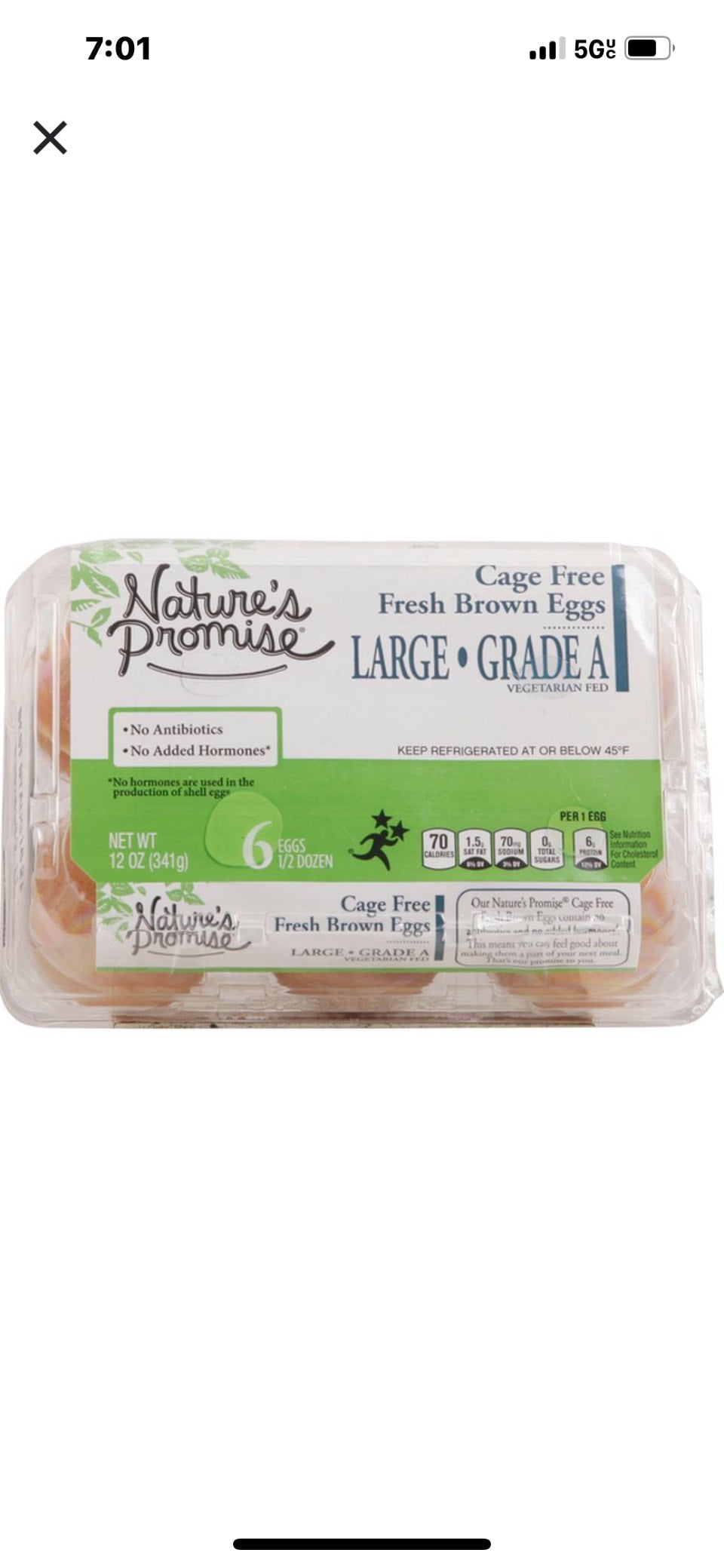 6 Large Brown Eggs